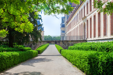 Walkway in the park
