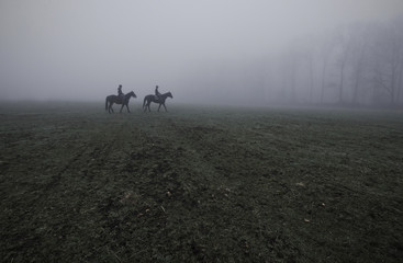 Naklejka na ściany i meble Horse riders and foggy landscape