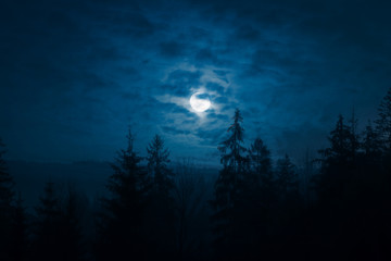 Night mysterious landscape in cold tones - silhouettes of the spruce forest under the full moon...