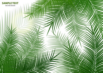 Fototapeta na wymiar Tropical background. Realistic palm tree leaves. Exotic beauty for travel Design, promotion and marketing. Vector illustration - Vector graphics