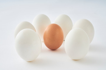 White eggs around brown egg on white background.