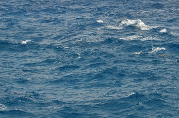 close up of the ocean