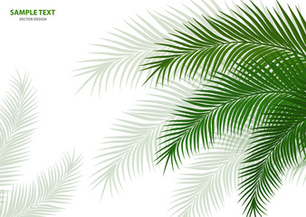 Tropical background. Realistic palm tree leaves. Exotic beauty for travel Design, promotion and marketing. Vector illustration - Vector graphics