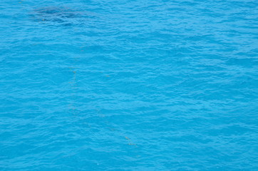 close up of the ocean
