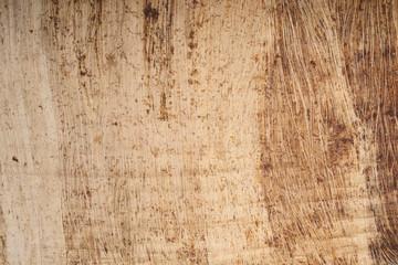 Egyptian papyrus with space for textured background