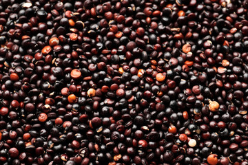 Chenopodium quinoa is scientific name of Black Quinoa seed. Closeup of grains, background use.