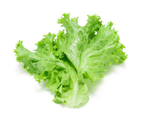 lettuce