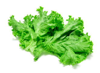 lettuce