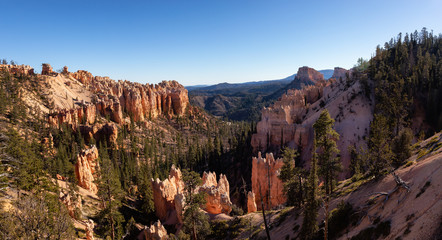 Beautiful View of an American landscape during a sunny day. Taken in Bryce Canyon National Park, Utah, United States of America.