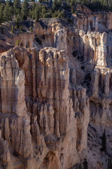 Beautiful View of an American landscape during a sunny day. Taken in Bryce Canyon National Park, Utah, United States of America.