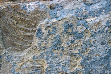 concrete vintage wall background,old wall