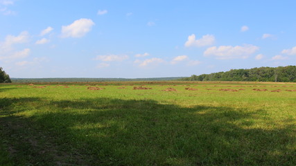 Obraz premium summer