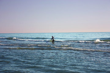 Fototapeta premium man plunged in the sea fishing and collects tellines or clams or other seafood on a winter day