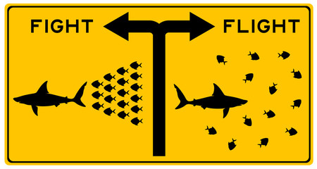 fight or flight shark