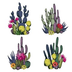 Colorful cactus compositions with flowers. Hand drawn vector illustration.