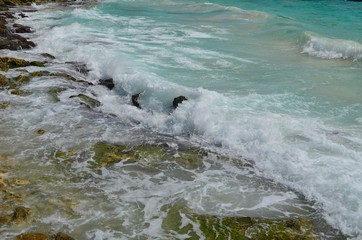 waves crashing on the mexican coast