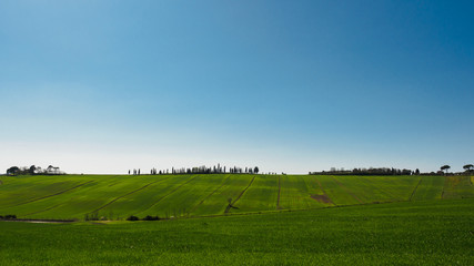 Typical Val d'Orcia landscape in the Tuscany, Italy. Landscape format.