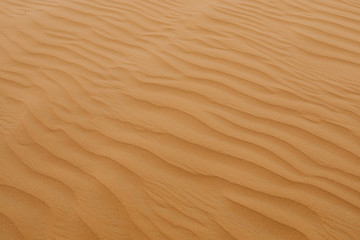 Fototapeta na wymiar desert texture background - Image
