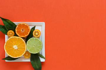 Citrus fruits on a coral red background