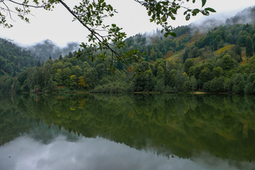 Fototapeta na wymiar beautiful landscape with lake and misty forest