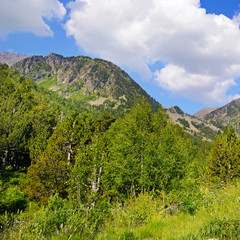 Picturesque mountain landscape,meadow, hiking trail and beautiful sky.