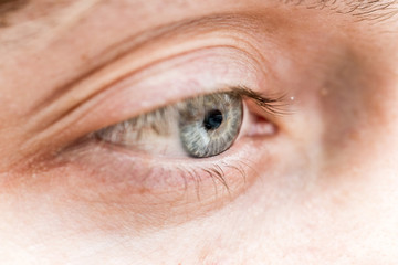 gray human eye, close-up