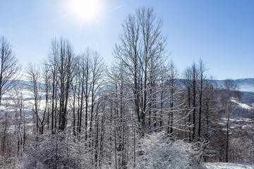 Majestic winter landscape glowing by sunlight in the morning. Dramatic wintry scene.