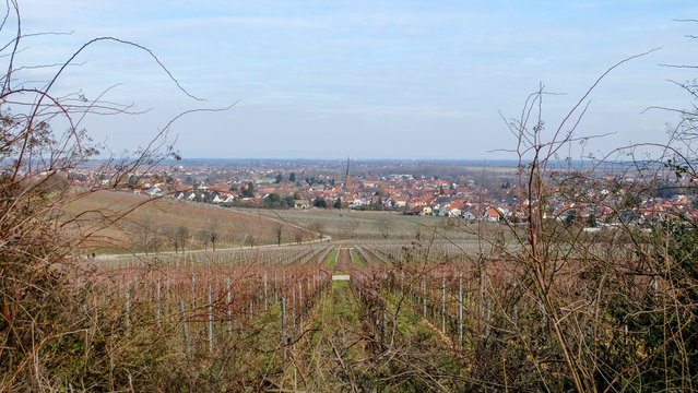 Kirche von Deidesheim 
