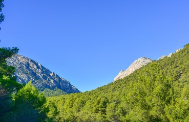 Fototapeta na wymiar Two rocky peaks emerge from a forest of evergreen trees under a blue sky in southern Spain