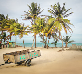 Wooden Cart with Go Slow message in a tropical beach with palm trees - Caye Caulker, Belize