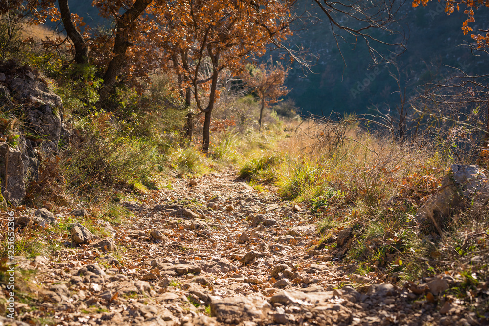 Poster Mountain paths, alpine paths