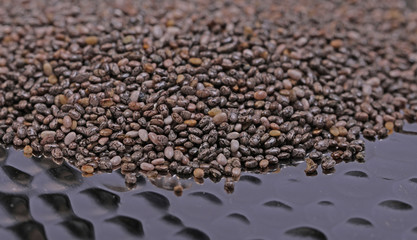 Chiasamen Chia Samen