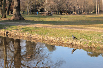 Parco pubblico di Monza città in Italia, Public park in monza city in Italy