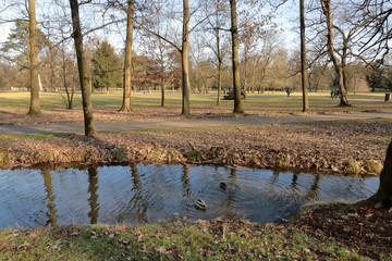 Parco pubblico di Monza città in Italia, Public park in monza city in Italy