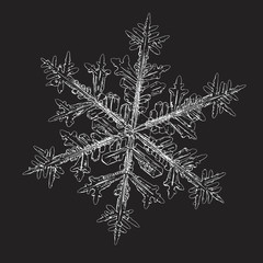 Snowflake isolated on black background. Vector illustration based on macro photo of real snow crystal: elegant stellar dendrite with hexagonal symmetry, complex ornate shape and beautiful details.