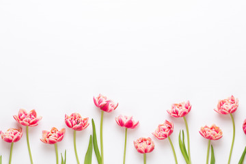Spring flowers tulips on pastel colors background. Retro vintage style.