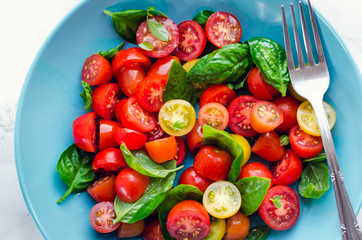 Tomatoes salad with basil