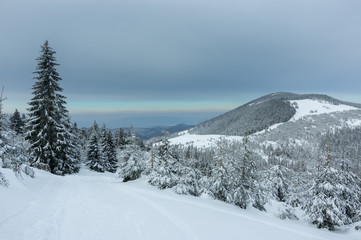 Obraz premium Beskid Żywiecki 2019