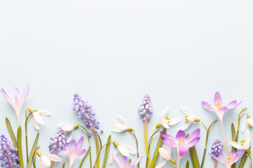 Fresh snowdrops on pink background with place for text. Spring greeting card.