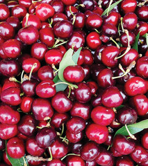 cerezas