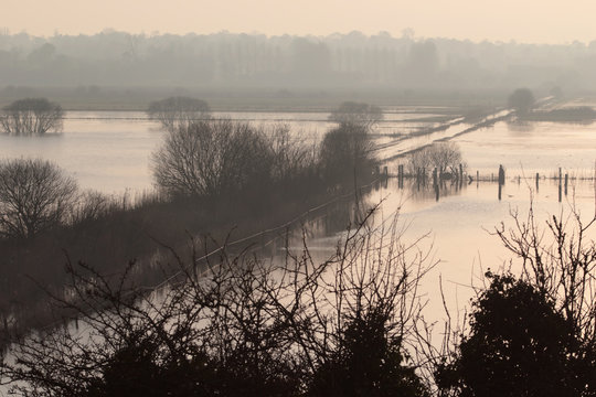Marais du Cotentin