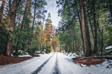 Road covered with snow at winter - Yosemite National Parl, California, USA