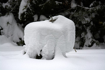 (C)Pantick        Pavel Burkov