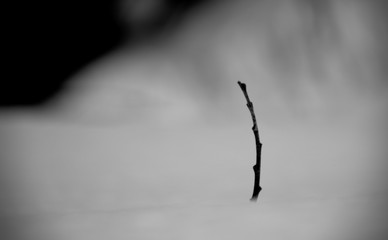 (C)Pantick        Pavel Burkov