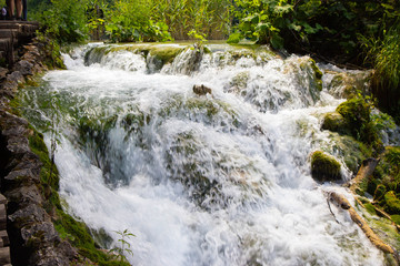 Fototapeta premium Waterfalls in the Plitvice lakes National Park