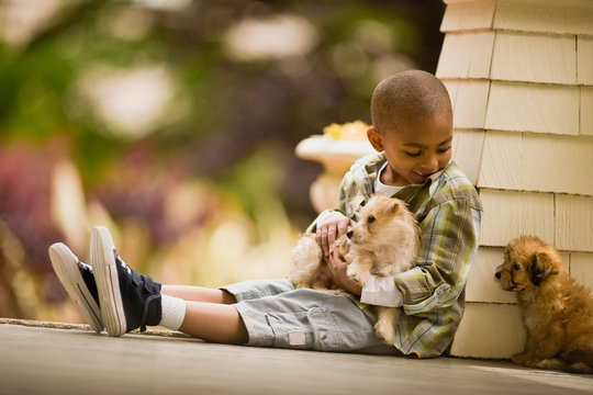 Smiling young boy sits on a porch holding one puppy and looking down at another puppy sitting next to him.