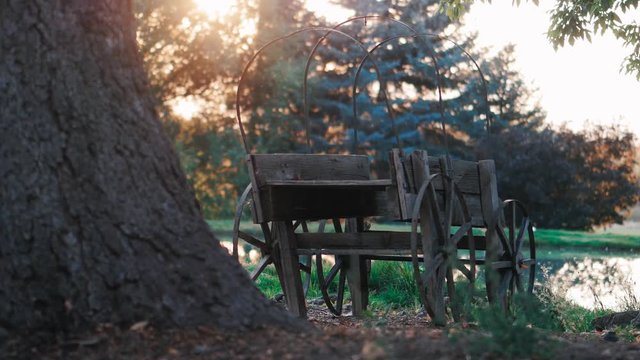 sunrise with an old pioneer covered wagon pond and trees. A panning close up shot of an old traditional wagon among the trees trunks near the pond. A close-up panning view of a big tree trunk. As the 