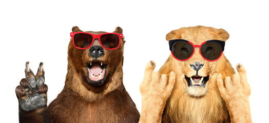 Funny bear and lion in sunglasses showing gestures, isolated on white background