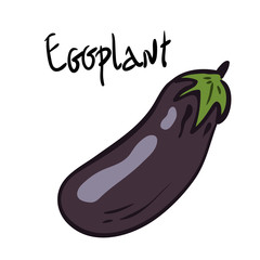 Fresh Eggplant vegetable isolated icon. Eggplant for farm market, vegetarian salad recipe design. vector illustration.Decoration for patches, signboards, showcases, menus.