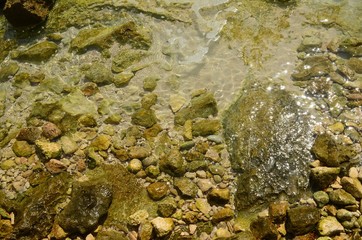 shallow water background